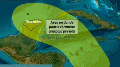 Captura De Pantalla 2024 09 27 A Las 9.48.30.png