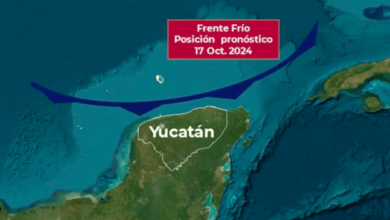 Captura De Pantalla 2024 10 15 A Las 14.15.15.png