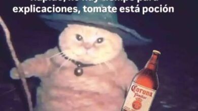 Captura De Pantalla 2024 10 03 130828.jpg