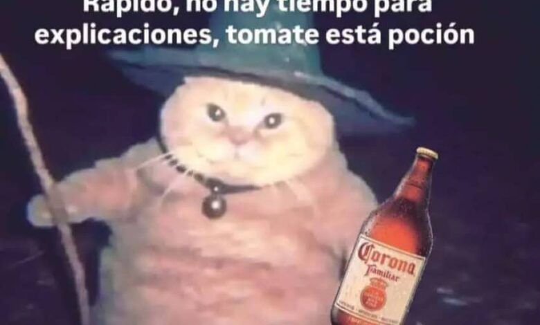 Captura De Pantalla 2024 10 03 130828.jpg