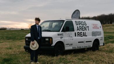 Los Pajaros No Son Reales.jpg