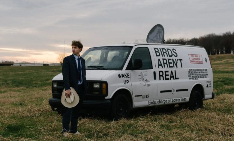 Los Pajaros No Son Reales.jpg