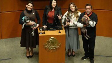 1006933 Sesion Senado Reforma Animal 2 Impreso.jpg