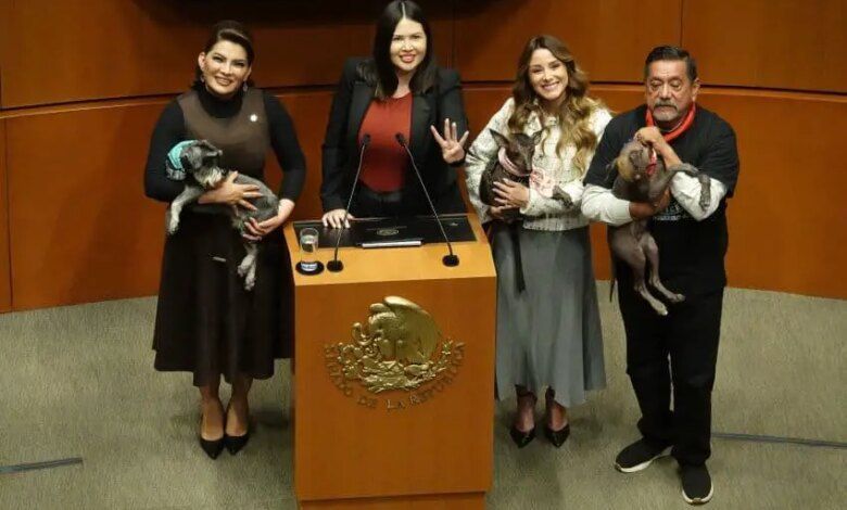 1006933 Sesion Senado Reforma Animal 2 Impreso.jpg