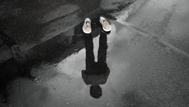 1731169481866.png