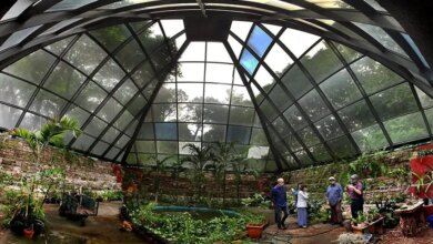 8 Sm Orchidarium At Parque Agua Azul.jpg