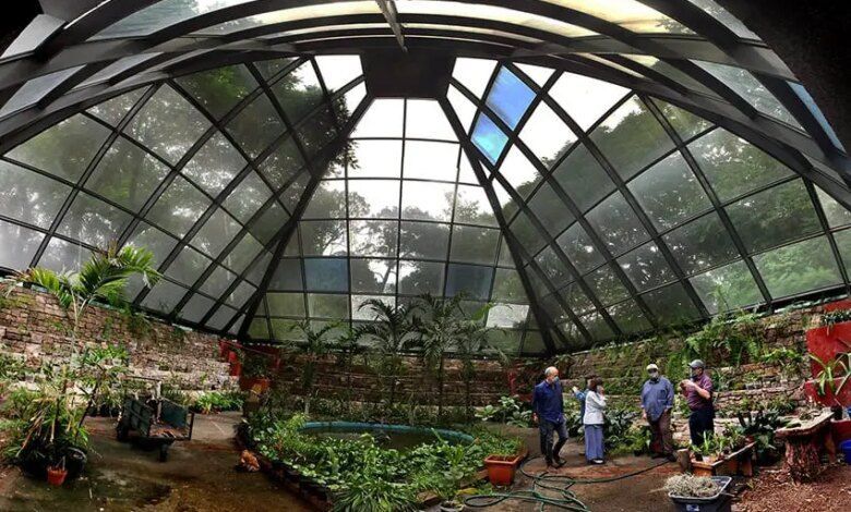 8 Sm Orchidarium At Parque Agua Azul.jpg