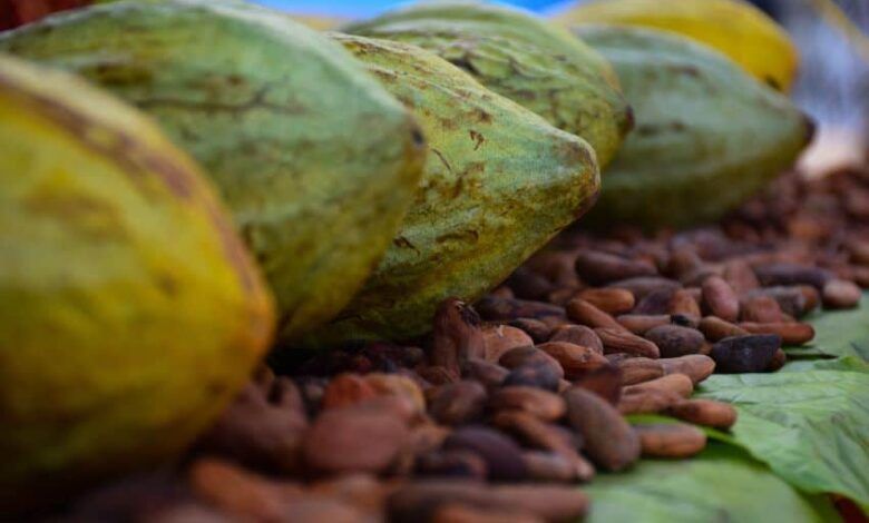 870295 Tuxtla Chico Chocolate 2 Impreso.jpg