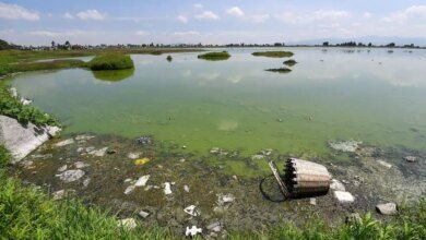 984984 Poca Agua Y Contaminada Bordo San Jeronimo 2.jpg Impreso.jpg