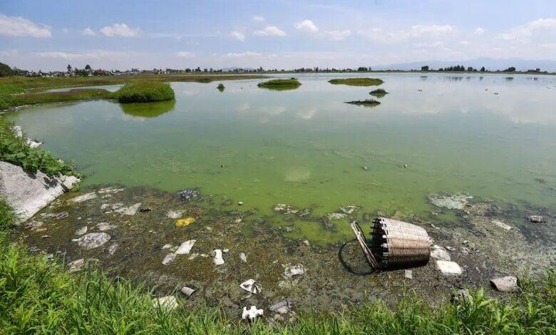 984984 Poca Agua Y Contaminada Bordo San Jeronimo 2.jpg Impreso.jpg