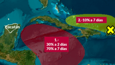 Captura De Pantalla 2024 11 01 A Las 8.59.53.png