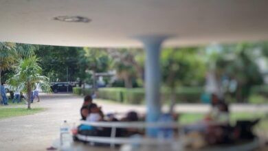 Ilegales Parque Mexico.jpg