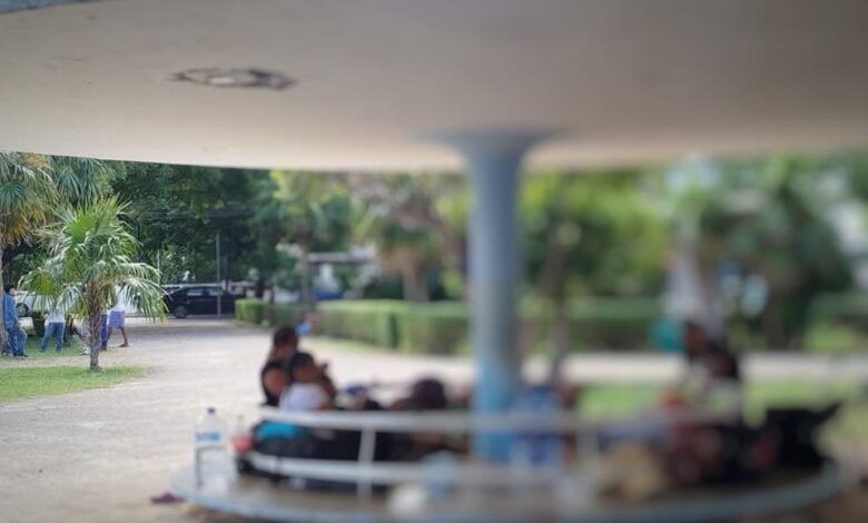 Ilegales Parque Mexico.jpg
