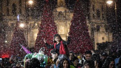 1011196 Verbena Navidena Zocalo 3 Impreso.jpg