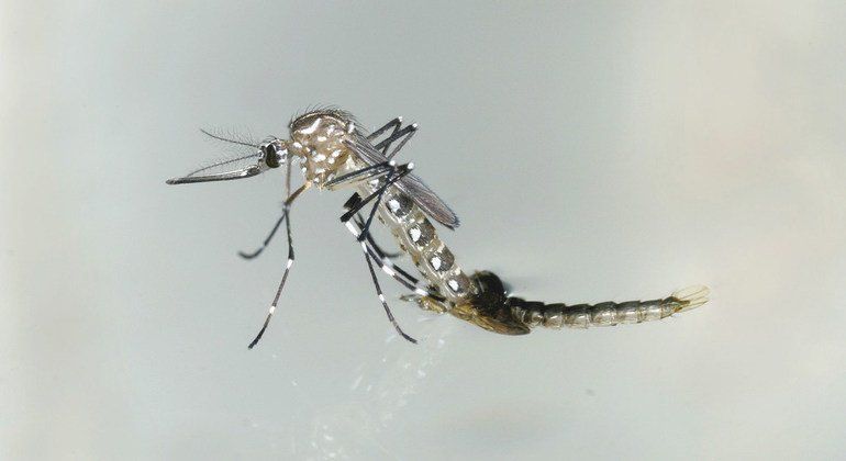 1734704263 Image770x420cropped.jpg