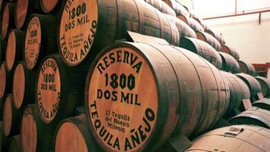 54885 Tequila Tequileria Impreso.jpg