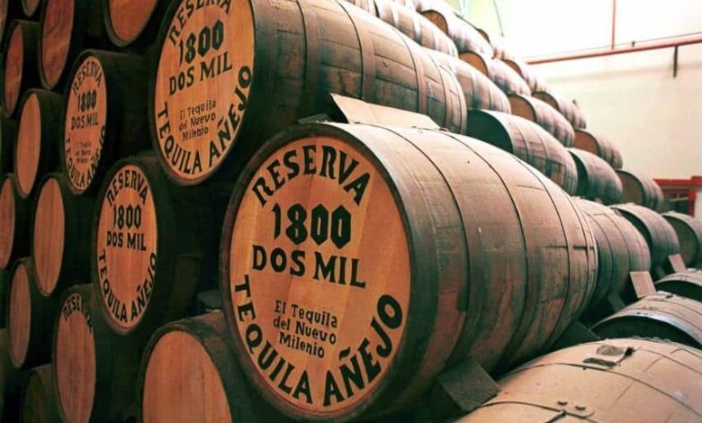 54885 Tequila Tequileria Impreso.jpg