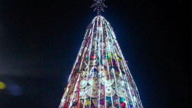 Tree2 1.jpg