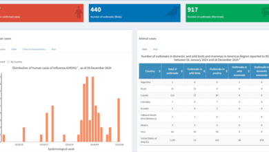 250106 Influenza Dashboard Launched 1200x636.png