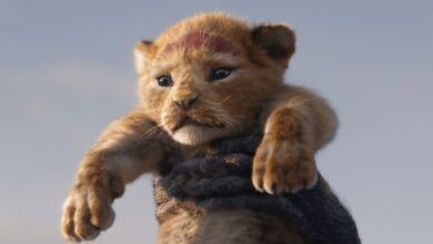 The Lion King Dt1 Still 1 1 .jpg