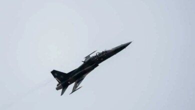 834920 Desfile Aereo Famex Impreso.jpg