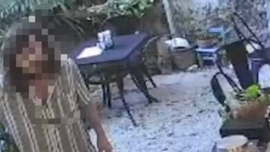Img 0553.jpeg