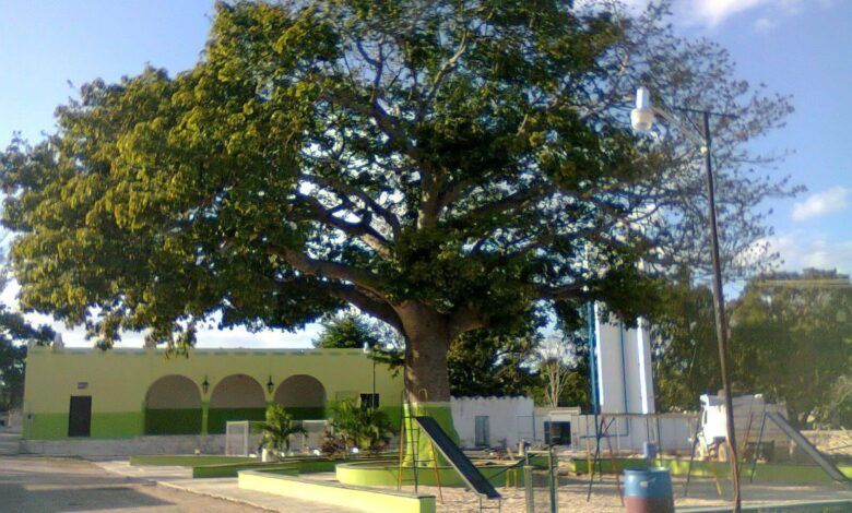 Img 4911.jpg