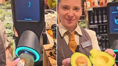Avocado Scanner.jpg