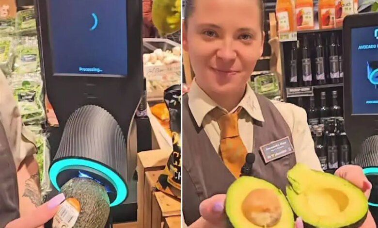 Avocado Scanner.jpg