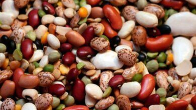 Bean Varieties Frijoles.jpg