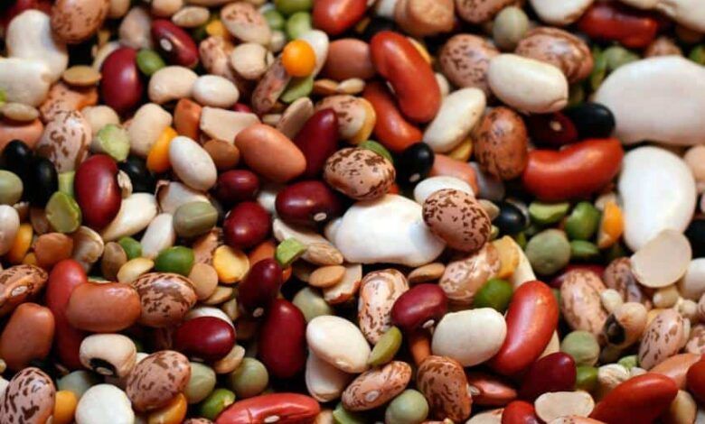 Bean Varieties Frijoles.jpg