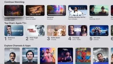 Netflixappletvapp 5 Large.jpg
