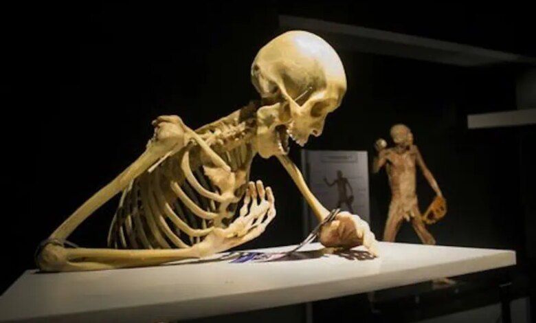 Our Body Exposicion Cuerpos Humanos Reales Cdmx 2.jpg