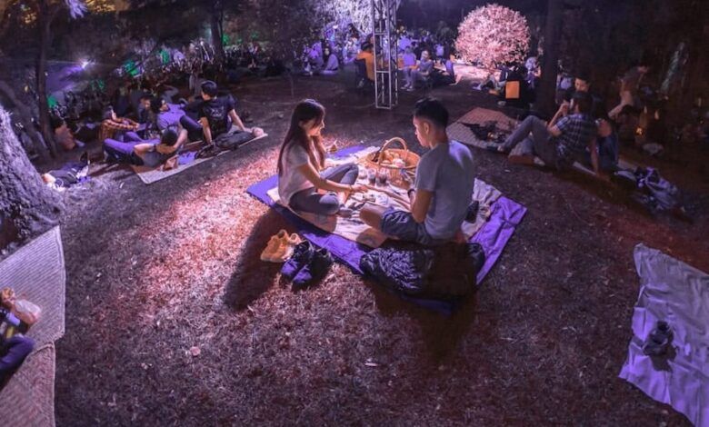 Picnic Nocturno 1024x683 1.jpg