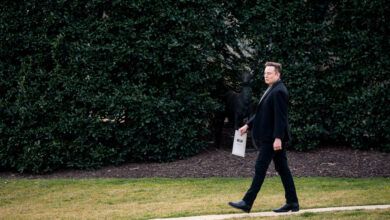 11trump news musk interview hgkl facebookjumbo.jpg