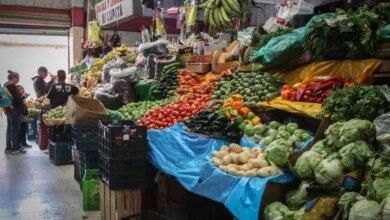 988308 canasta basica inflacion impreso.jpg