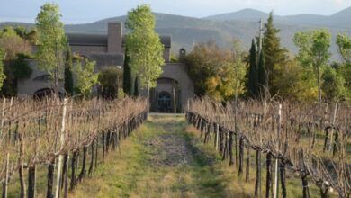 Bodega dos buhos 10.jpg