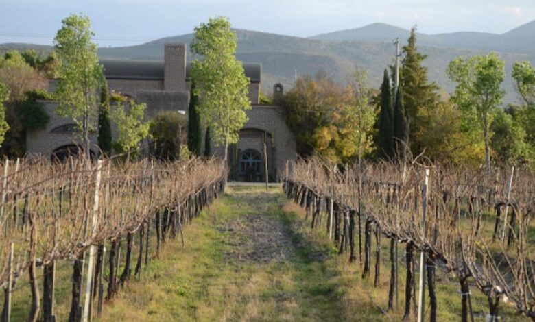 Bodega dos buhos 10.jpg