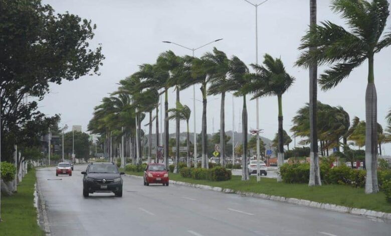 1000507 campeche afecatciones huracan milton impreso.jpg