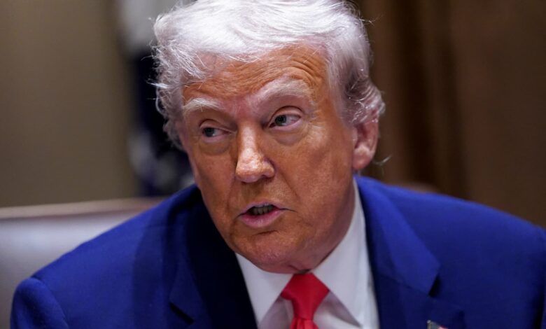 108130247 17443068562025 04 10t173914z 305441069 rc25vda1m1f0 rtrmadp 0 usa trump.jpeg