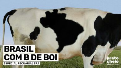 Ep pecuaria1 tt capa.jpg