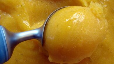 Mango sorbet 1.jpg