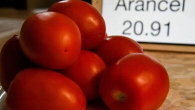 1028182 aranceles a jitomate impreso.jpg