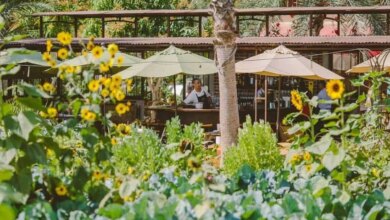 Flora farms field kitchen restaurant flora farms website.jpg