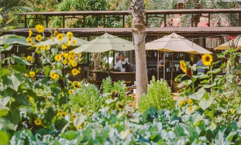 Flora farms field kitchen restaurant flora farms website.jpg