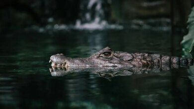 Bro takes photos udx52fct7v0 unsplash1.jpg