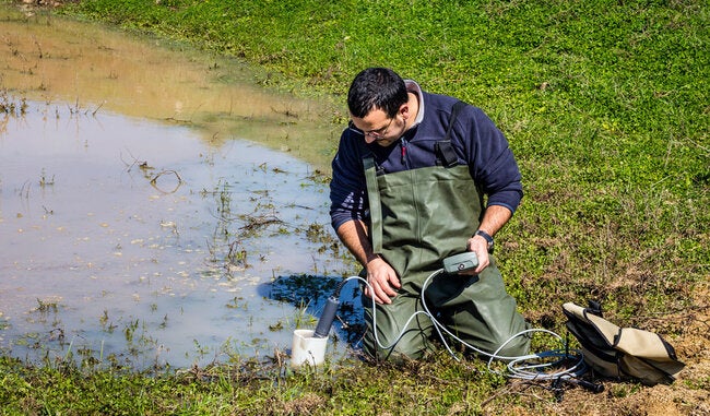 Environmental surveillance.jpg