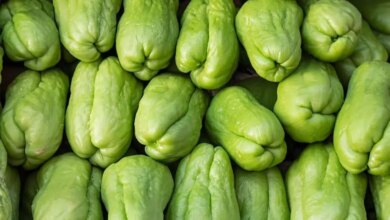 Chayote.jpg