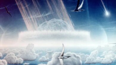 Chicxulub impact artist impression.jpg