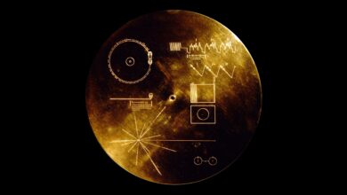 Disco de oro voyager.jpg